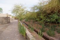 
DSC00445